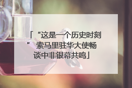 “这是一个历史时刻” 索马里驻华大使畅谈中非银幕共鸣