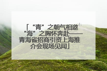 “青”之朝气相邀 “海”之胸怀奔赴——青海省招商引资上海推介会现场见闻