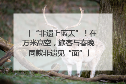 “非遗上蓝天”！在万米高空，旅客与春晚同款非遗见“面”