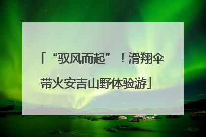 “驭风而起”！滑翔伞带火安吉山野体验游