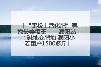 “黑松土活化肥”寻找最美粮王——濮阳站：碱地变肥地 濮阳小麦亩产1500多斤