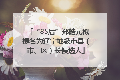 “85后”郑皓元拟提名为辽宁地级市县（市、区）长候选人