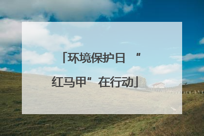 环境保护日 “红马甲”在行动