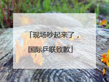 现场吵起来了，国际乒联致歉