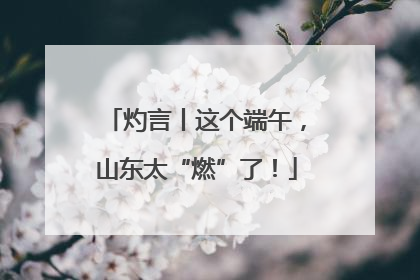 灼言丨这个端午，山东太“燃”了！