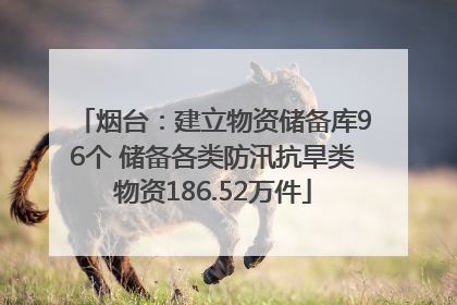 烟台：建立物资储备库96个 储备各类防汛抗旱类物资186.52万件