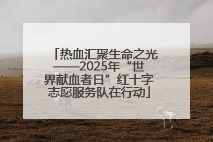 热血汇聚生命之光——2025年“世界献血者日”红十字志愿服务队在行动