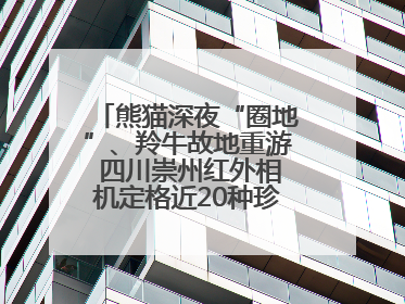 熊猫深夜“圈地”、羚牛故地重游 四川崇州红外相机定格近20种珍稀动物呆萌瞬间