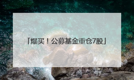 爆买！公募基金重仓7股