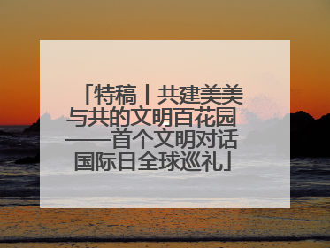 特稿丨共建美美与共的文明百花园——首个文明对话国际日全球巡礼