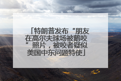 特朗普发布“朋友在高尔夫球场被鹅咬”照片，被咬者疑似美国中东问题特使