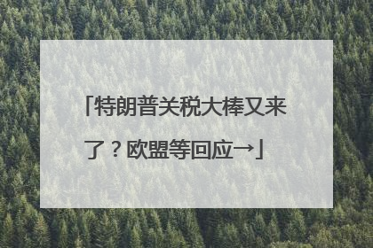 特朗普关税大棒又来了？欧盟等回应→