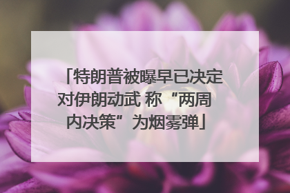 特朗普被曝早已决定对伊朗动武 称“两周内决策”为烟雾弹