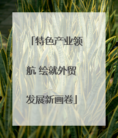 特色产业领航 绘就外贸发展新画卷