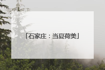石家庄：当夏荷美
