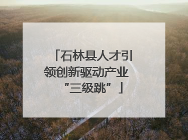 石林县人才引领创新驱动产业“三级跳”