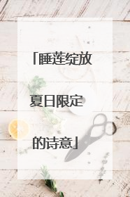 睡莲绽放 夏日限定的诗意