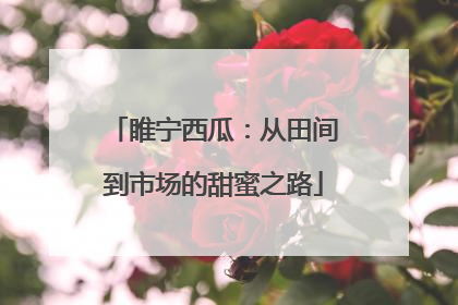 睢宁西瓜：从田间到市场的甜蜜之路