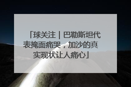 球关注｜巴勒斯坦代表掩面痛哭，加沙的真实现状让人痛心