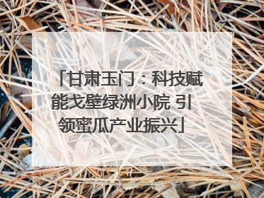 甘肃玉门：科技赋能戈壁绿洲小院 引领蜜瓜产业振兴
