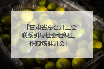 甘肃省总召开工会联系引导社会组织工作现场推进会