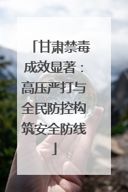 甘肃禁毒成效显著：高压严打与全民防控构筑安全防线