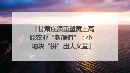 甘肃庄浪重塑黄土高原农业“新颜值”：小地块“拼”出大文章