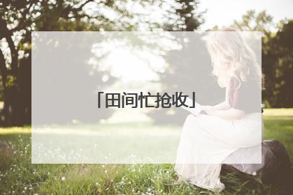 田间忙抢收