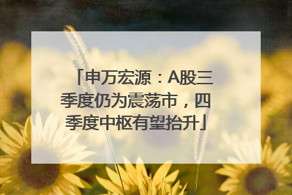 申万宏源：A股三季度仍为震荡市，四季度中枢有望抬升