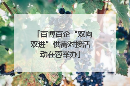 百博百企“双向双进”供需对接活动在蓉举办