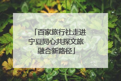 百家旅行社走进宁夏同心共探文旅融合新路径