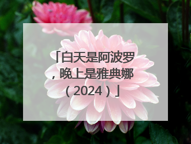 白天是阿波罗，晚上是雅典娜（2024）