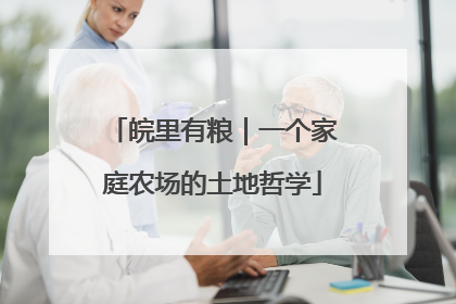 皖里有粮｜一个家庭农场的土地哲学