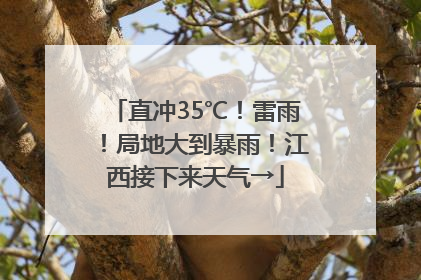 直冲35℃！雷雨！局地大到暴雨！江西接下来天气→