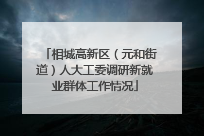 相城高新区（元和街道）人大工委调研新就业群体工作情况