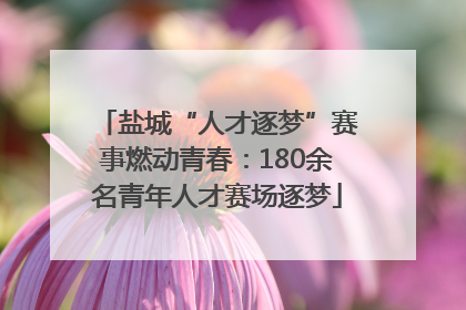 盐城“人才逐梦”赛事燃动青春：180余名青年人才赛场逐梦