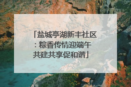 盐城亭湖新丰社区：粽香传情迎端午 共建共享促和谐