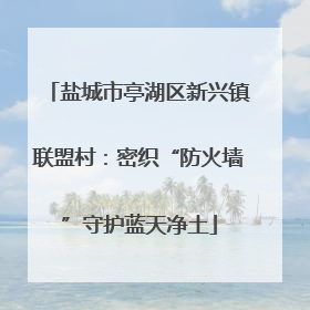盐城市亭湖区新兴镇联盟村：密织“防火墙”守护蓝天净土
