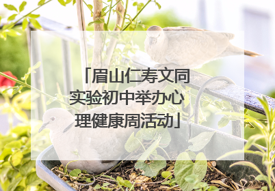 眉山仁寿文同实验初中举办心理健康周活动