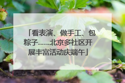 看表演、做手工、包粽子……北京多社区开展丰富活动庆端午