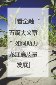看金融“五篇大文章”如何助力龙江高质量发展