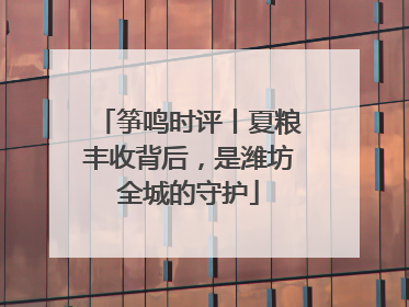 筝鸣时评丨夏粮丰收背后，是潍坊全城的守护