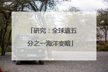 研究：全球逾五分之一海洋变暗