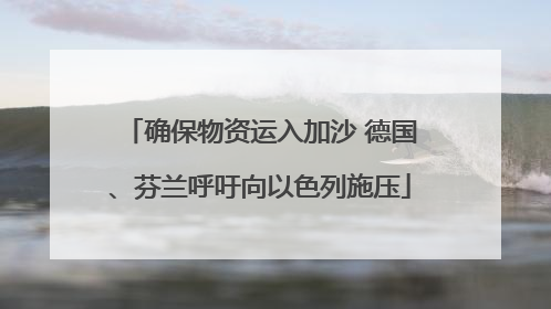 确保物资运入加沙 德国、芬兰呼吁向以色列施压