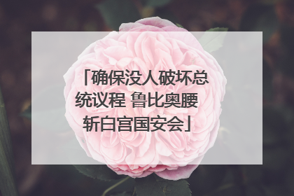 确保没人破坏总统议程 鲁比奥腰斩白宫国安会