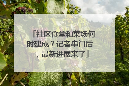 社区食堂和菜场何时建成？记者串门后，最新进展来了