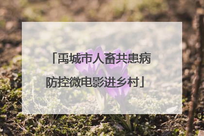 禹城市人畜共患病防控微电影进乡村