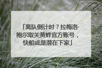 离队倒计时？拉梅洛·鲍尔取关黄蜂官方账号，快船或是潜在下家