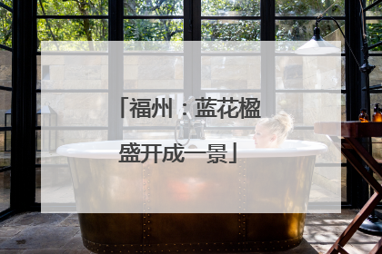 福州：蓝花楹盛开成一景