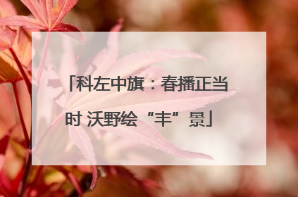 科左中旗：春播正当时 沃野绘“丰”景